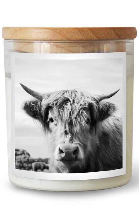 Candle jar with wooden lid featuring a black and white photo of a cow on a white background