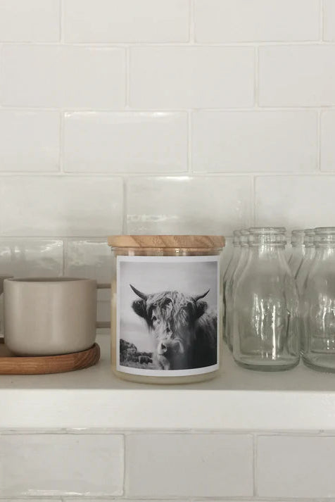 Kitchen counter with jars, a pot, and a container with a cow print on a white tiled wall background.